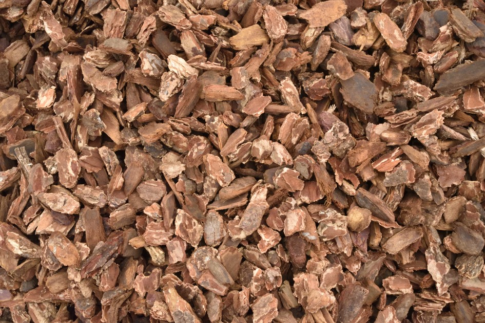 Medium Nugget Bark Measuring 1 – 2 inches.